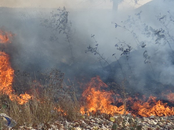 Пожарът, който беше избухнал във велинградското село Кръстава, е овладян.
