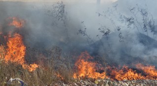 Пожарът който беше избухнал във велинградското село Кръстава е овладян