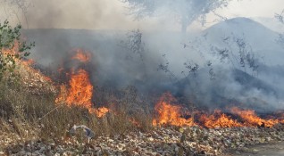 22 пожара са гасили огнеборците за три дни в област