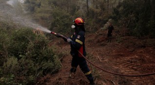 Гръцките власти обявиха че пожарът в гористата местност в района