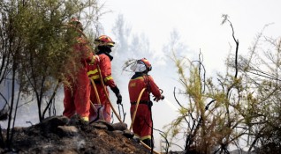 Пожар в атономна област Кастилия и Леон в Северозападна Испания