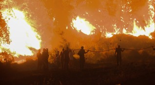 Нов голям пожар бушува в Южна Гърция Огънят се е