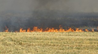 Пожар затвори пътя София Калотина Движението в двете посоки