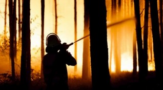 Голям горски пожар близо до Френската Ривиера доведе до евакуацията