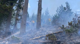 Мълния запали гора край Банско Огънят е тръгнал от поразен