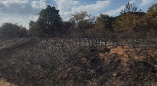 Овладян е и вторият пожар на територията на Национален парк