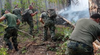 Осми ден продължава борбата с големия пожар между селата Югово