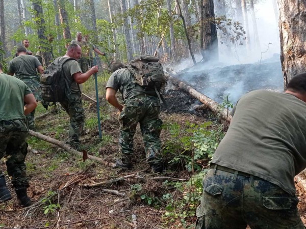 Продължава гасенето на големия горски пожар над село Югово, община