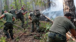 Продължава гасенето на големия горски пожар над село Югово община