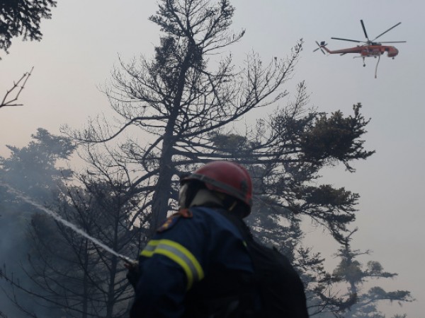 Едва преди няколко дни пожарникарите успяха да изгасят горския пожар