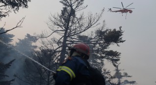 Едва преди няколко дни пожарникарите успяха да изгасят горския пожар
