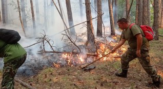 Локализиран е големият пожар над родопското село Югово който вилнее