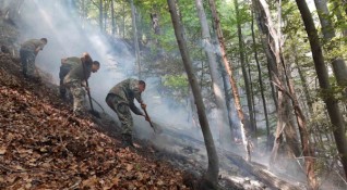 Гасенето на горския пожар край село Югово в Родопите продължава