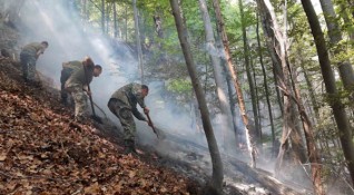 Пожарът над Югово и Нареченски бани в Родопите вече е