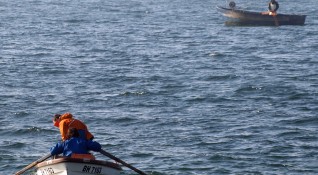 Гъмжи от риба в морето край Варна Тя се смеси