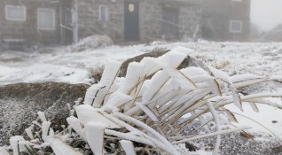 Първи сняг заваля на Витоша Кадри публикувани в социалната мрежа