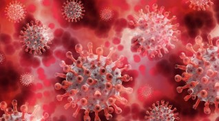 Положитгелна проба за коронавирус на служител стана причина за затварянето