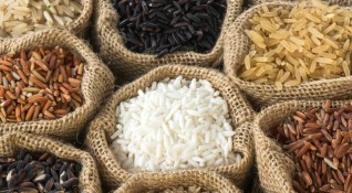 Оризът е една от най консумираните култури по цял свят С
