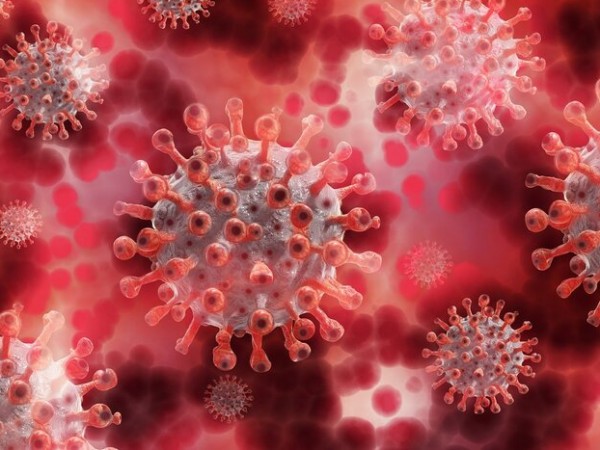 1038 са новите случаи на коронавирус у нас, сочат данните