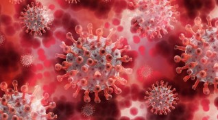 1038 са новите случаи на коронавирус у нас сочат данните