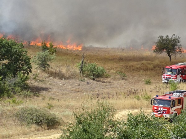 Над 2000 декара, засадени с царевица горят във Великотърновско. Пожарът