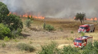 Над 2000 декара засадени с царевица горят във Великотърновско Пожарът