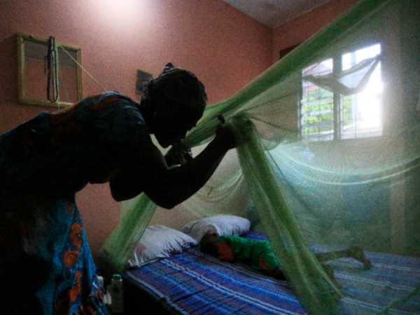 Световната здравна организация одобри ваксината срещу малария RTS, S/AS01, първата
