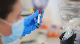 13 от направените тестове за коронавирус за последното денонощие са
