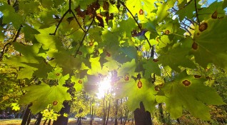 Слънчев есенен ден в софийски парк Снимка БГНЕС