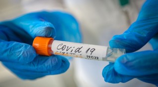 Броят на смъртните случаи от Covid 19 и интубираните пациенти нарасна