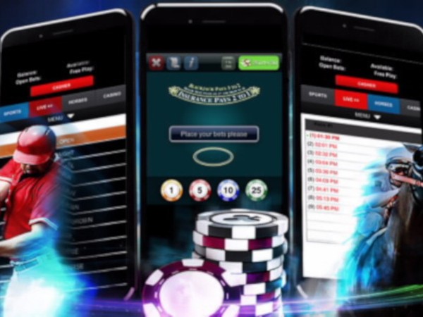 Какво търсят почитателите на хазартната тръпка в онлайн платформите? Най-вече