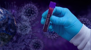 6007 са новорегистрираните случаи на коронавирус у нас за последното