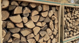Какво води до недостиг на дървата за огрев тази година Основната