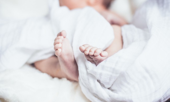 12% повече бебета са се родили в "Шейново" тази година
