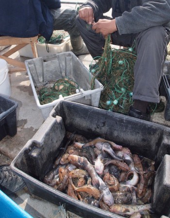 Рибарите край Яйлата се радват на добър улов преди Никулден