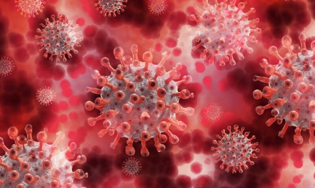 СЗО именува новия вариант на коронавируса