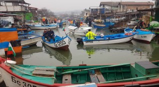 Рибарите в Поморие се оплакват че тази година паламудът не