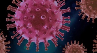 След ваксинация срещу коронавирус броят на антителата намалява и се