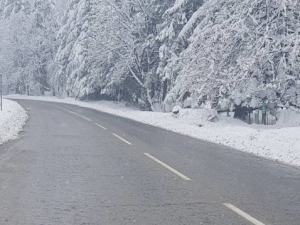 На по-високите места в Северозападна България заваля сняг. Снежна покривка