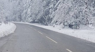 На по високите места в Северозападна България заваля сняг Снежна покривка