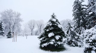 До два часа снеговалежът в София ще спре Той ще
