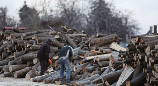 Българинът се отоплява предимно с дърва Това е трайна тенденция
