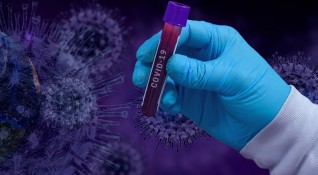 Съществува възможност за едновременно заразяване с два щама на коронавируса