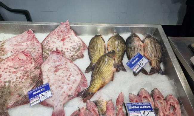 Продължават проверките на рибни магазини и борси в Бургаско