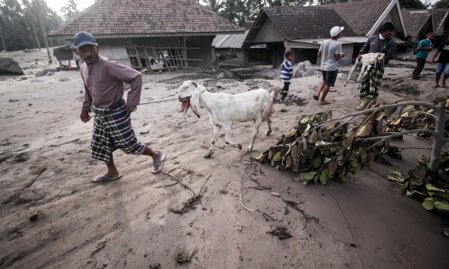 13 са вече загиналите от изригването на вулкана в Индонезия