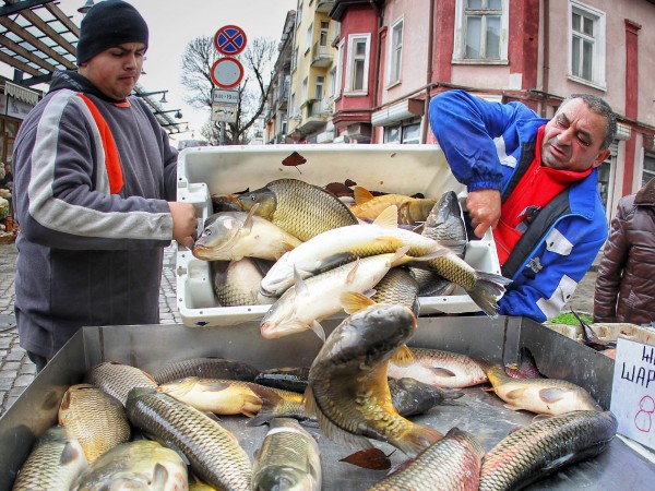 Снимка: Димитър Кьосемарлиев, Dnes.bgОживено е по пазарите за прясна риба