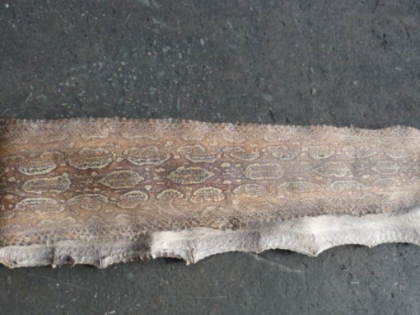 Снимка: Агенция "Митници"Крокодилски и змийски кожи са открити в карго