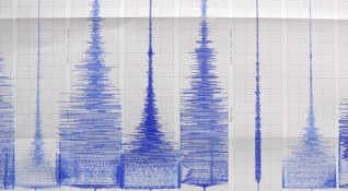 Земетресение с магнитуд 5 по скалата на Рихтер беше регистрирано