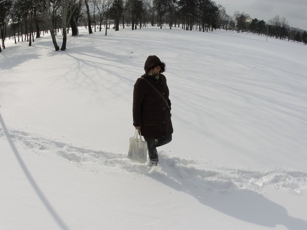 Рекордно количество сняг, паднал в неделя в сръбската столица Белград,