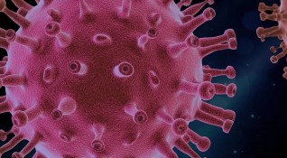 Омикрон вариантът на коронавируса който вече доминира в САЩ